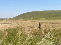 Azerbaijan, Turkish sappers continue mine-clearing operations in liberated lands (PHOTO)