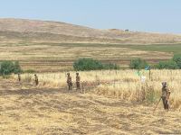 Azerbaijan, Turkish sappers continue mine-clearing operations in liberated lands (PHOTO)