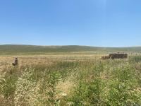 Azerbaijan, Turkish sappers continue mine-clearing operations in liberated lands (PHOTO)