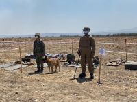 Azerbaijani journalists arrive in liberated Fuzuli to view de-mining process (PHOTO)