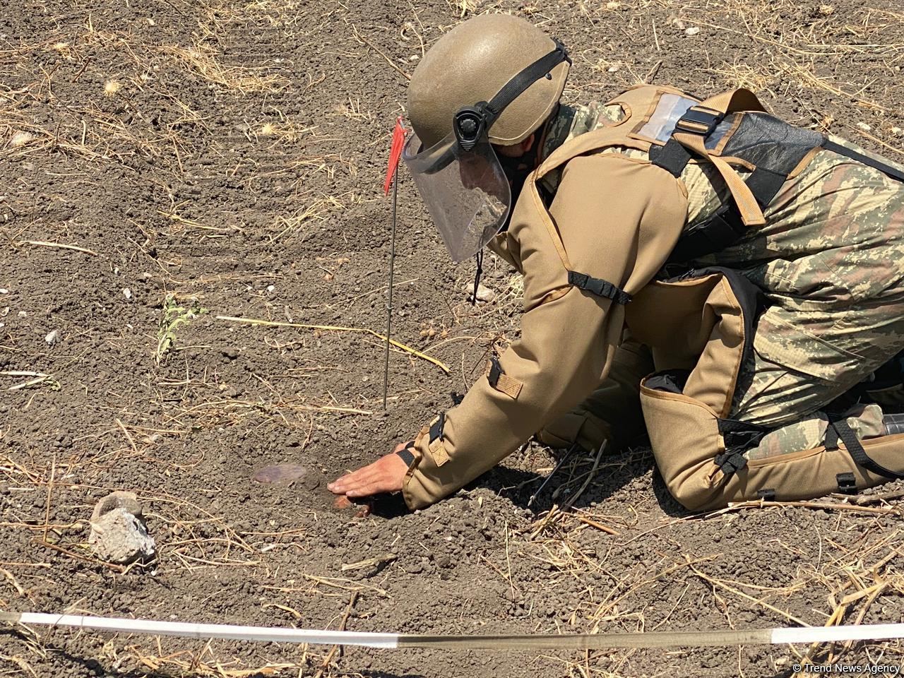 Azerbaijan, Turkish sappers continue mine-clearing operations in liberated lands (PHOTO)