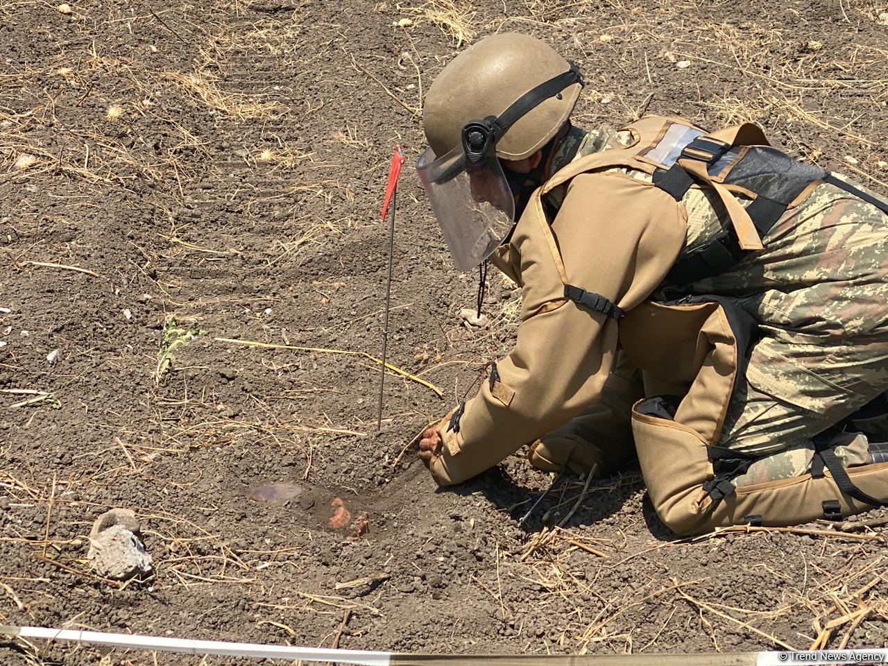 Azerbaijan, Turkish sappers continue mine-clearing operations in liberated lands (PHOTO)