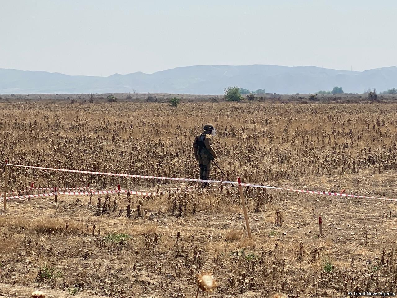 Azerbaijani journalists arrive in liberated Fuzuli to view de-mining process (PHOTO)