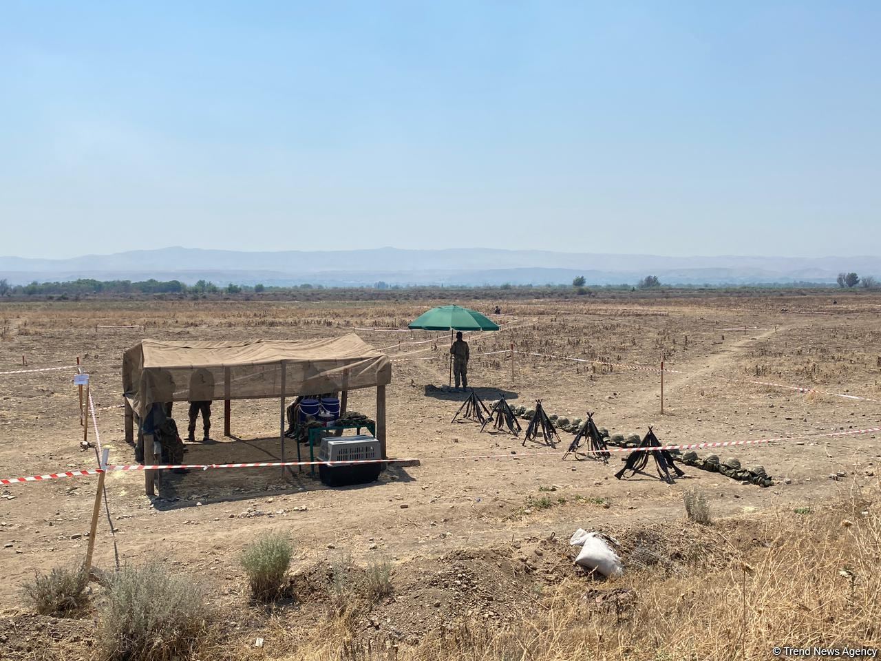 Azerbaijani journalists arrive in liberated Fuzuli to view de-mining process (PHOTO)
