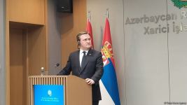 FMs of Azerbaijan, Serbia hold press conference  (PHOTO/VIDEO)