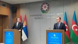 FMs of Azerbaijan, Serbia hold press conference  (PHOTO/VIDEO)