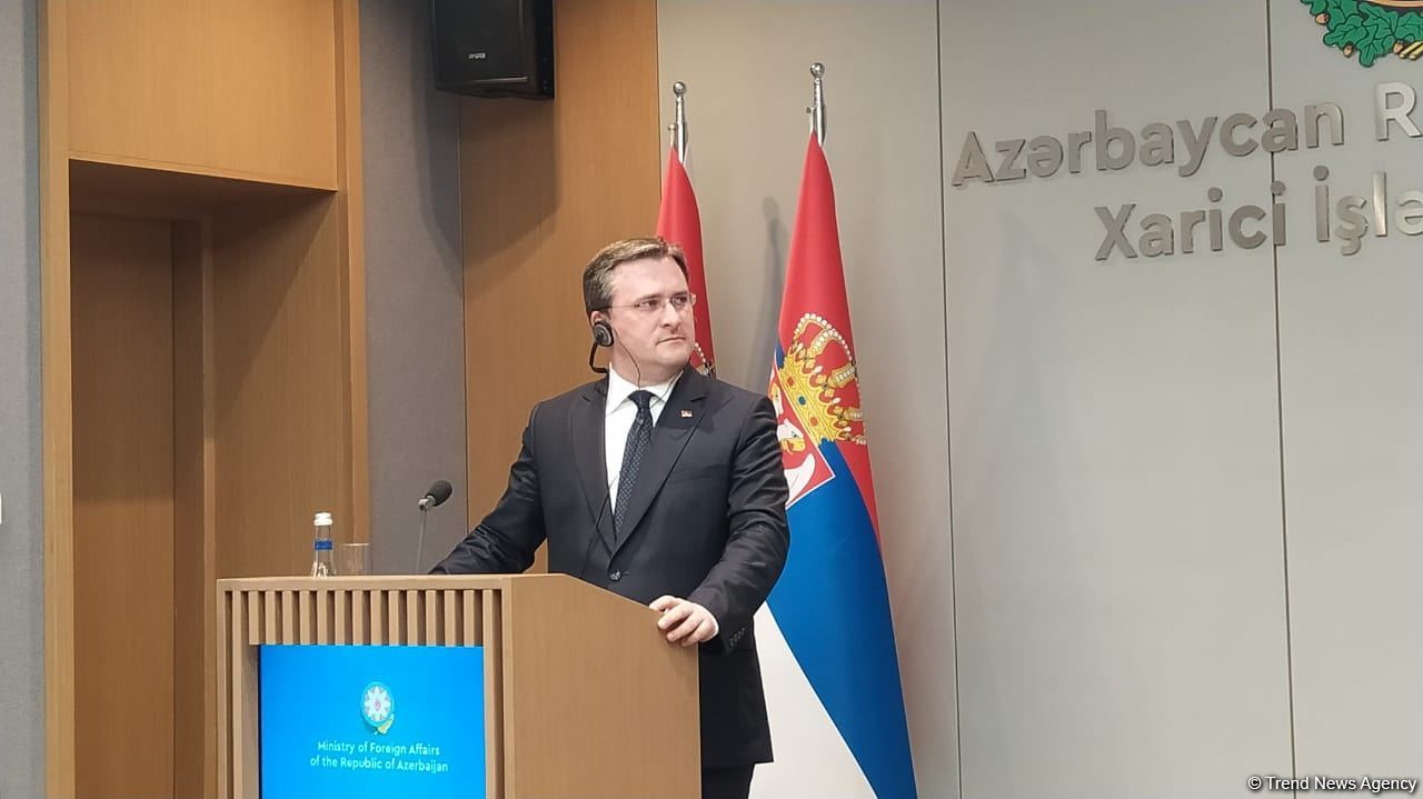 FMs of Azerbaijan, Serbia hold press conference  (PHOTO/VIDEO)