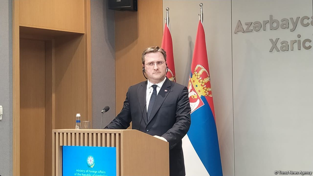 FMs of Azerbaijan, Serbia hold press conference  (PHOTO/VIDEO)