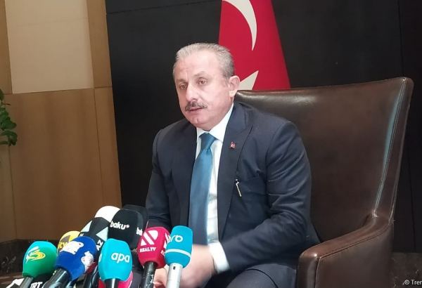 As long as Armenia continues border provocations, peace in region impossible - official