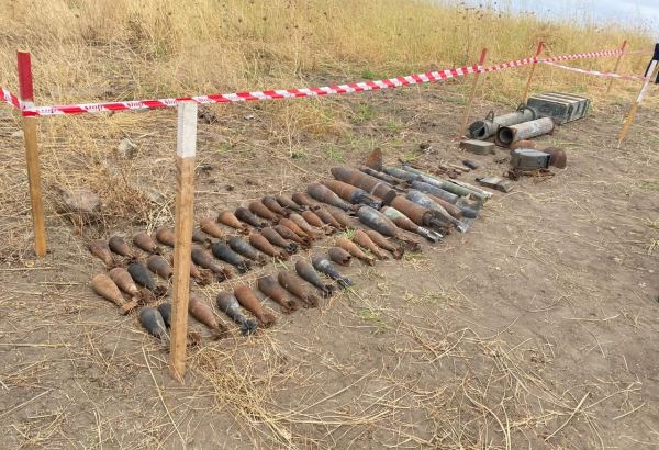 Azerbaijan's ANAMA shares results of weekly mine clearing work in liberated areas