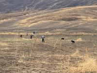 Azerbaijani working groups view progress on Victory Road in Fuzuli (PHOTO)