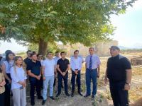 Reps of Azerbaijan's leading youth organizations visit liberated Aghdam (PHOTO)