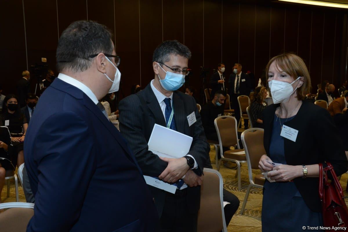 Azerbaijan's Minister of Economy talks recent business support applications (PHOTO)