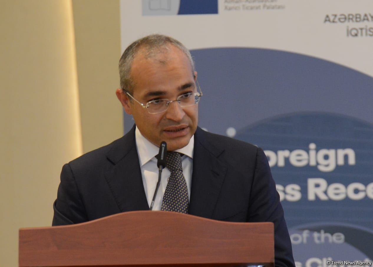 Azerbaijan's Minister of Economy talks recent business support applications (PHOTO)