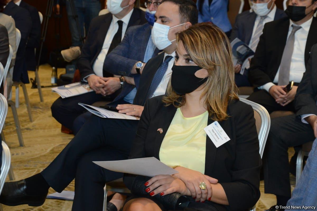 Azerbaijan's Minister of Economy talks recent business support applications (PHOTO)