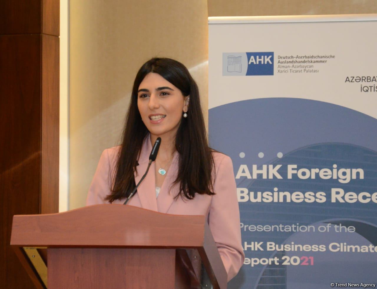 Azerbaijan's Minister of Economy talks recent business support applications (PHOTO)