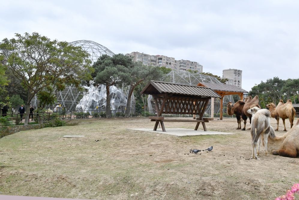 President Ilham Aliyev and First Lady Mehriban Aliyeva attend inauguration of Baku Zoological Park after reconstruction (PHOTO)