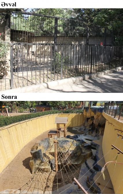 President Ilham Aliyev and First Lady Mehriban Aliyeva attend inauguration of Baku Zoological Park after reconstruction (PHOTO)