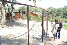 Children of martyrs and from orphanages become first visitors of Baku Zoo (PHOTO)