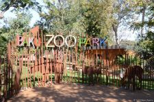 Children of martyrs and from orphanages become first visitors of Baku Zoo (PHOTO)