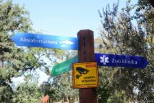 Children of martyrs and from orphanages become first visitors of Baku Zoo (PHOTO)