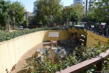 Children of martyrs and from orphanages become first visitors of Baku Zoo (PHOTO)