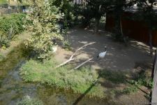 Children of martyrs and from orphanages become first visitors of Baku Zoo (PHOTO)