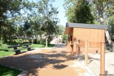 Children of martyrs and from orphanages become first visitors of Baku Zoo (PHOTO)