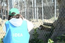 Children of martyrs and from orphanages become first visitors of Baku Zoo (PHOTO)