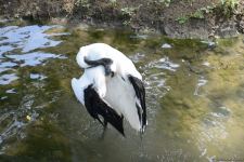 Children of martyrs and from orphanages become first visitors of Baku Zoo (PHOTO)