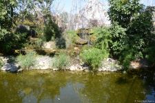 Children of martyrs and from orphanages become first visitors of Baku Zoo (PHOTO)