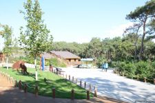 Children of martyrs and from orphanages become first visitors of Baku Zoo (PHOTO)