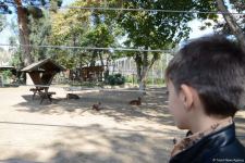 Children of martyrs and from orphanages become first visitors of Baku Zoo (PHOTO)