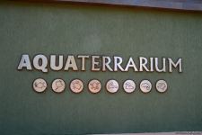 Children of martyrs and from orphanages become first visitors of Baku Zoo (PHOTO)