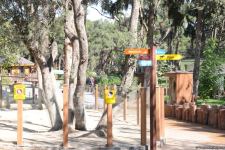 Children of martyrs and from orphanages become first visitors of Baku Zoo (PHOTO)