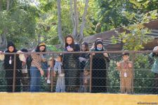Children of martyrs and from orphanages become first visitors of Baku Zoo (PHOTO)