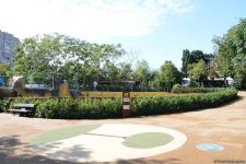 Children of martyrs and from orphanages become first visitors of Baku Zoo (PHOTO)