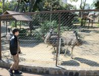 Children of martyrs and from orphanages become first visitors of Baku Zoo (PHOTO)