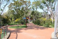 Children of martyrs and from orphanages become first visitors of Baku Zoo (PHOTO)