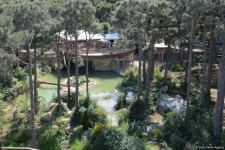 Children of martyrs and from orphanages become first visitors of Baku Zoo (PHOTO)