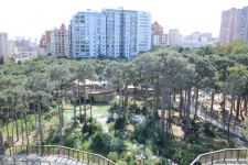 Children of martyrs and from orphanages become first visitors of Baku Zoo (PHOTO)