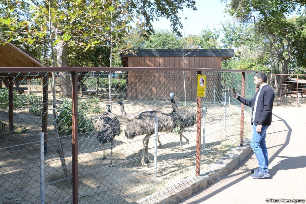Children of martyrs and from orphanages become first visitors of Baku Zoo (PHOTO)