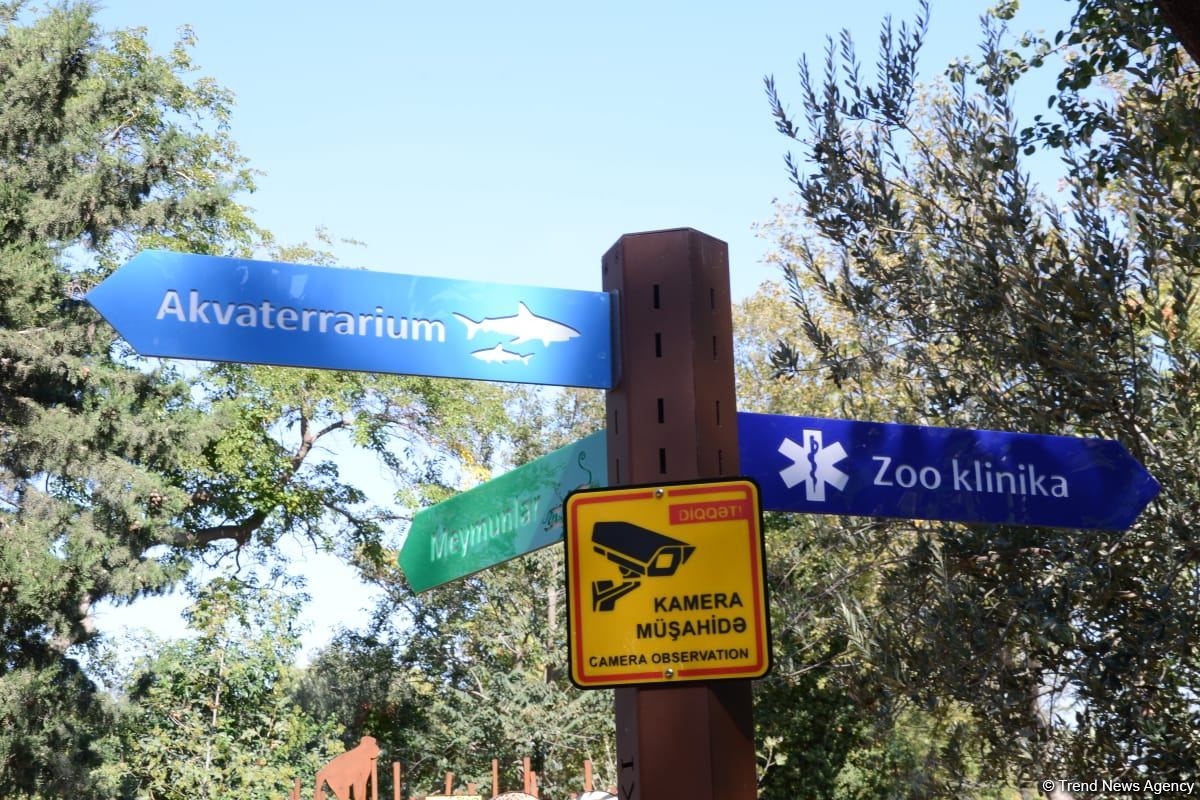 Children of martyrs and from orphanages become first visitors of Baku Zoo (PHOTO)