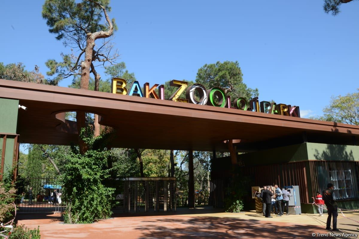 Children of martyrs and from orphanages become first visitors of Baku Zoo (PHOTO)
