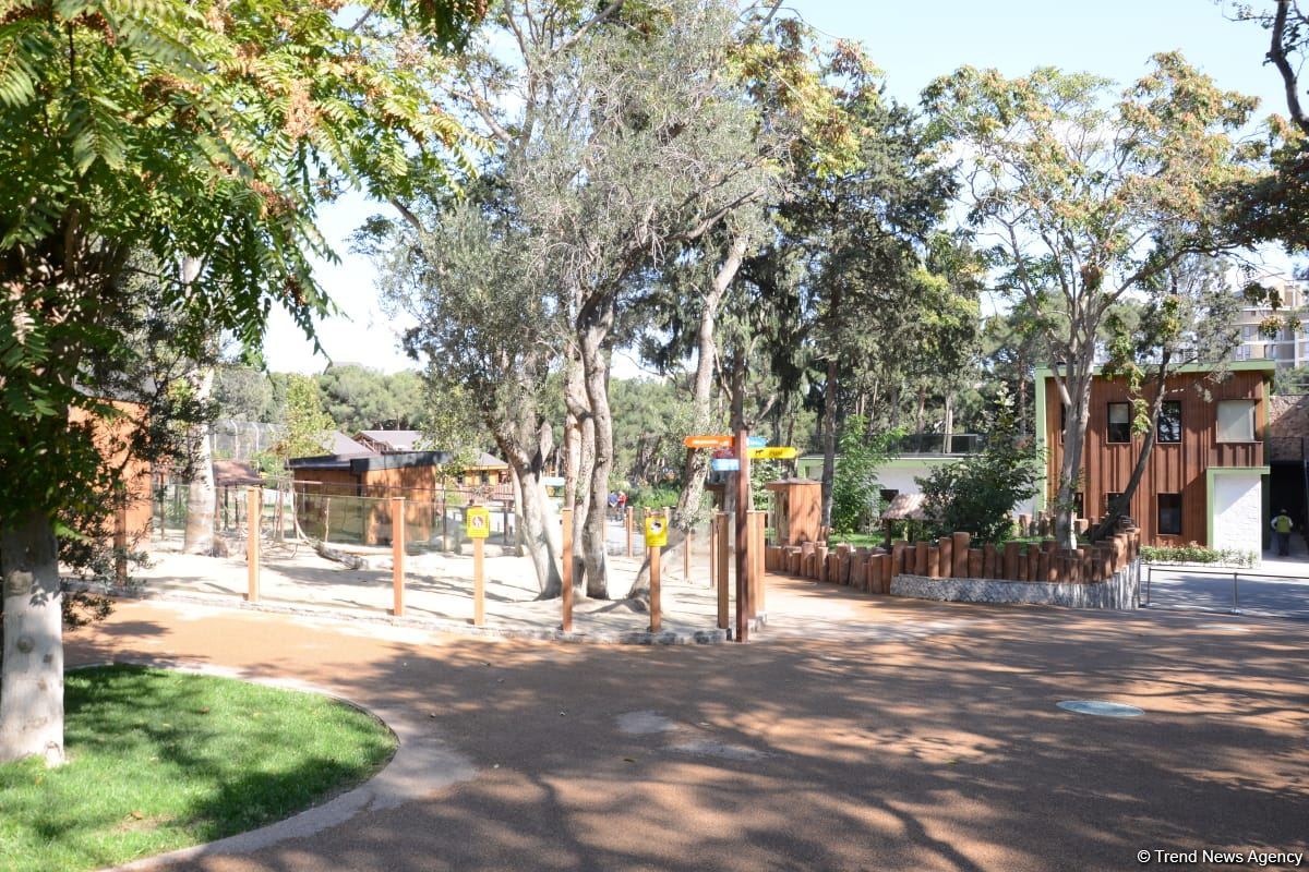 Children of martyrs and from orphanages become first visitors of Baku Zoo (PHOTO)