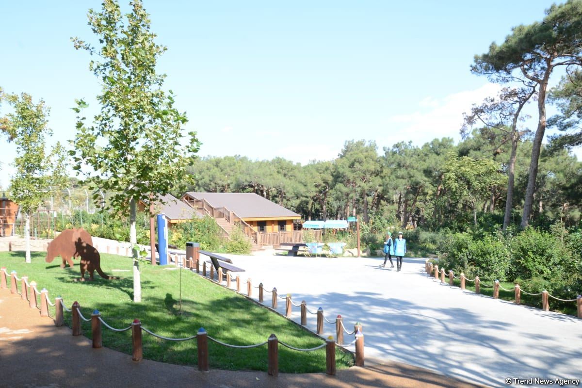 Children of martyrs and from orphanages become first visitors of Baku Zoo (PHOTO)