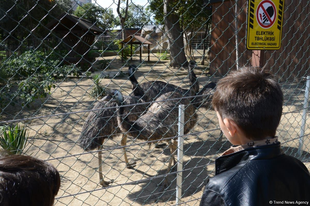 Children of martyrs and from orphanages become first visitors of Baku Zoo (PHOTO)