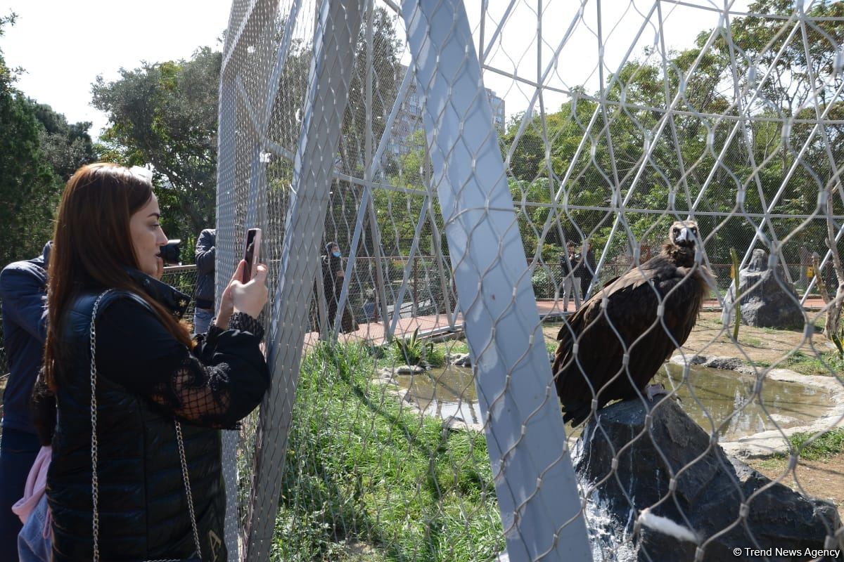 Children of martyrs and from orphanages become first visitors of Baku Zoo (PHOTO)