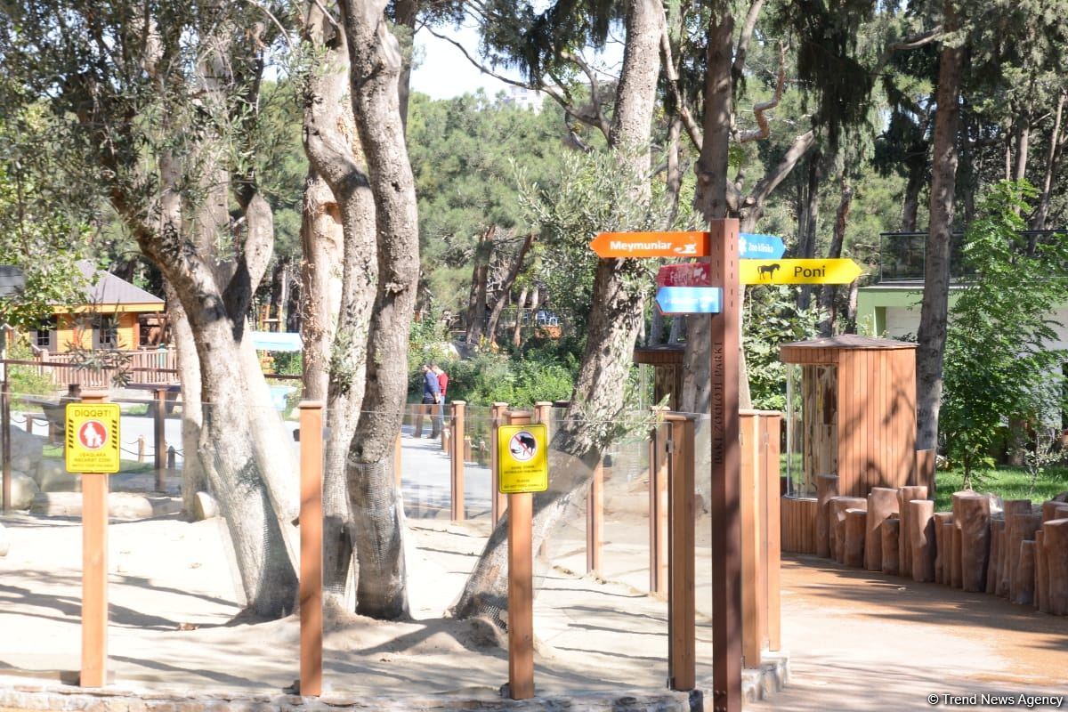 Children of martyrs and from orphanages become first visitors of Baku Zoo (PHOTO)
