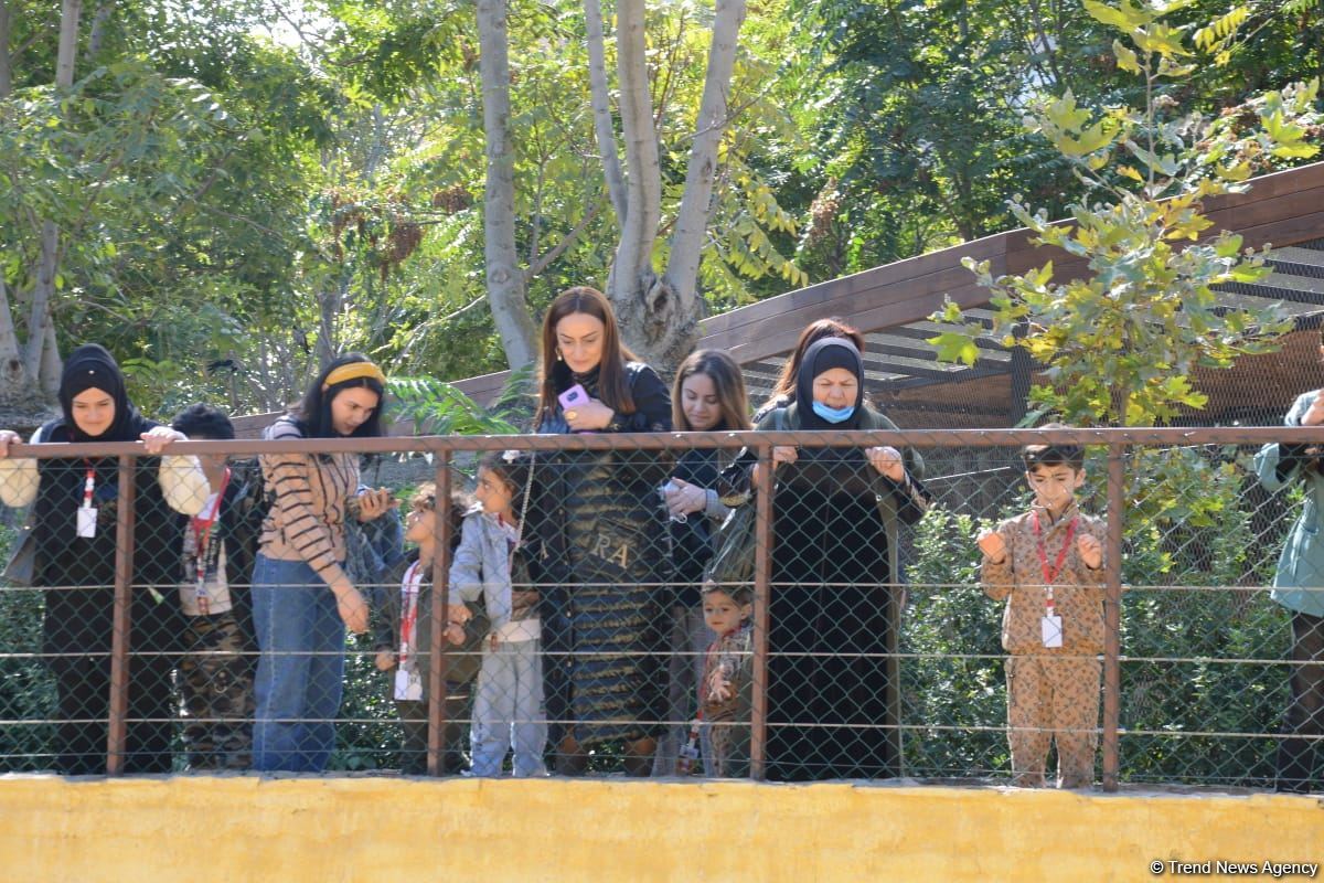 Children of martyrs and from orphanages become first visitors of Baku Zoo (PHOTO)